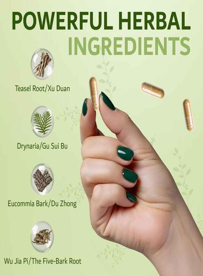 Dimmak Herbs Bone Mending Pills- Rapid Fracture & Broken Bone Healing Supplement- Advanced TCM Formula with Drynaria- Stress Fracture & Osteoblast Support- Organic, Vegan- 500mg 100 Capsules - Image 3